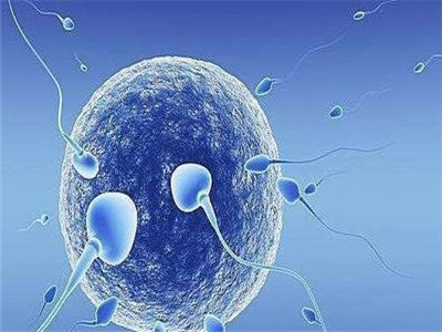 供卵包男孩正规代生公司